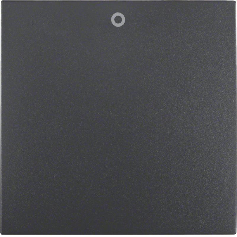 Berker 16221606 Wippe m Aufdr 0 S.1/B.3/B.7 anthrazit ma