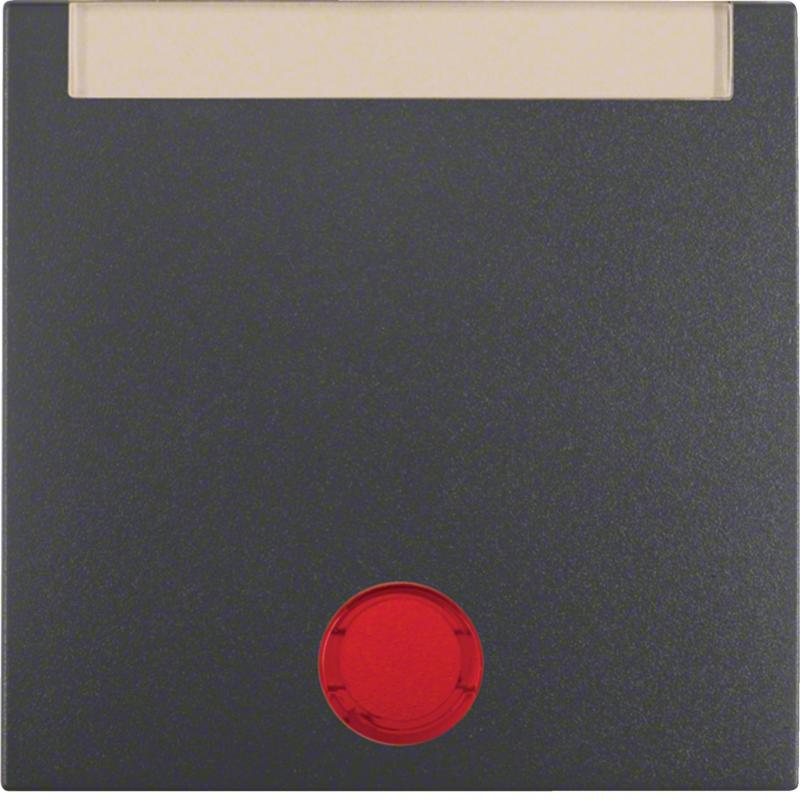 Berker 16281606 Wippe m 5 Linsen u Beschrift.B.3/7 ant