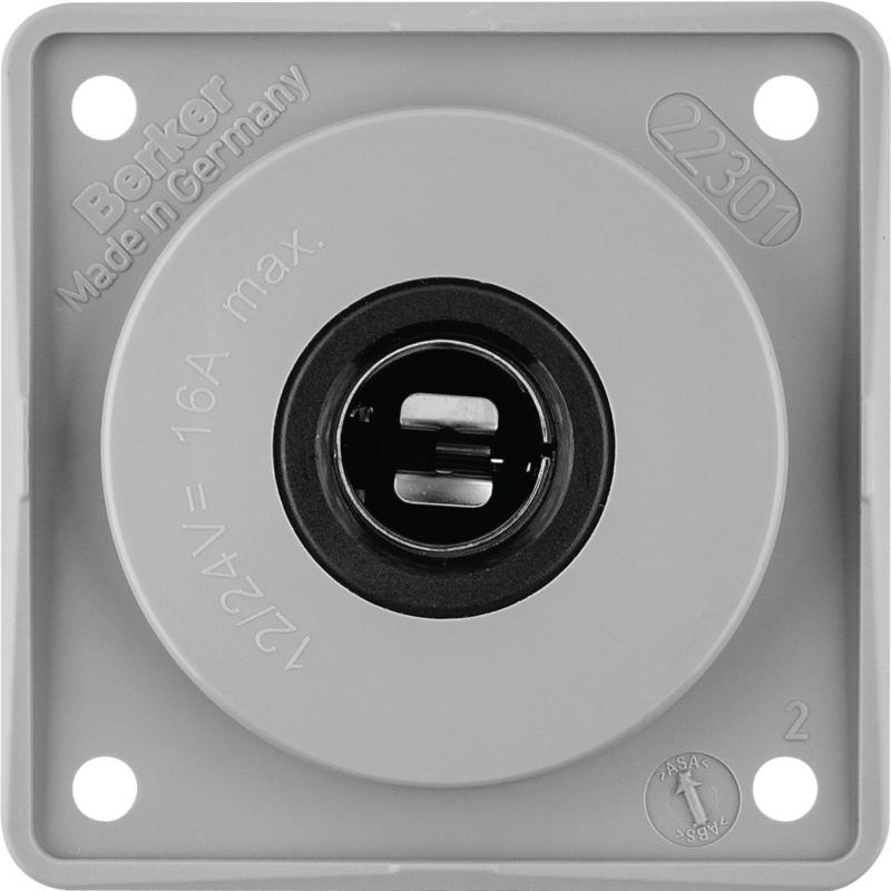 Berker 945172507 12V Steckdose Integro grau glänzend