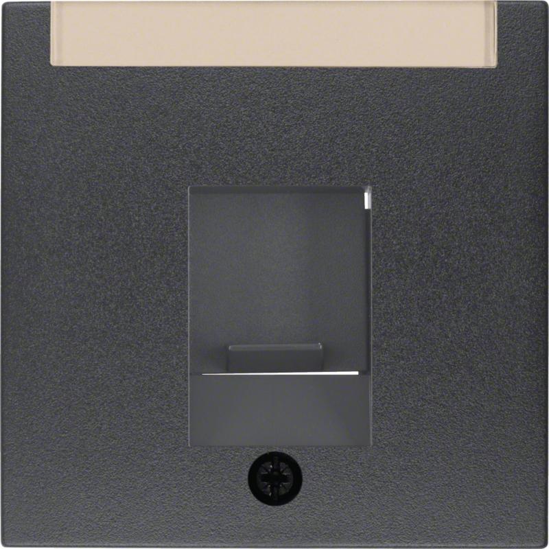 Berker 11701606 Zentralstück m Staubs u BF B.3/B.7 anthr