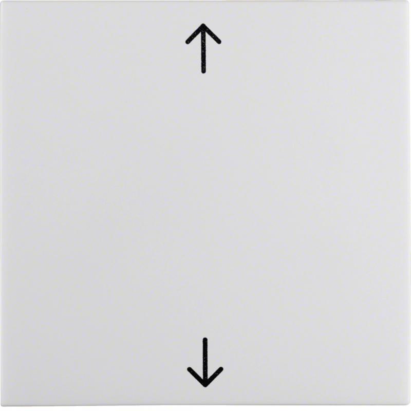 Berker 16208919 Wippe m Aufdr Symbol Pfeile S.1/B.x pw