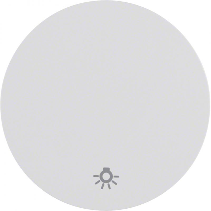 Berker 16202079 Wippe mit Aufdr Symbol Licht R.1/R.3 pw