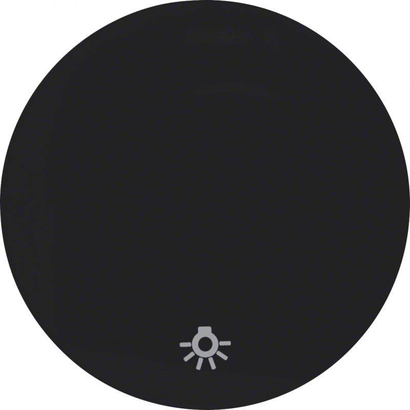 Berker 16202035 Wippe mit Aufdr Symbol Licht R.1/R.3 sw