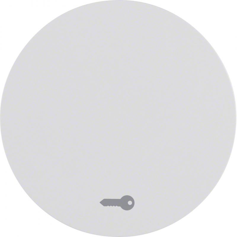 Berker 16202059 Wippe mit Aufdr Symbol Tür R.1/R.3 pw