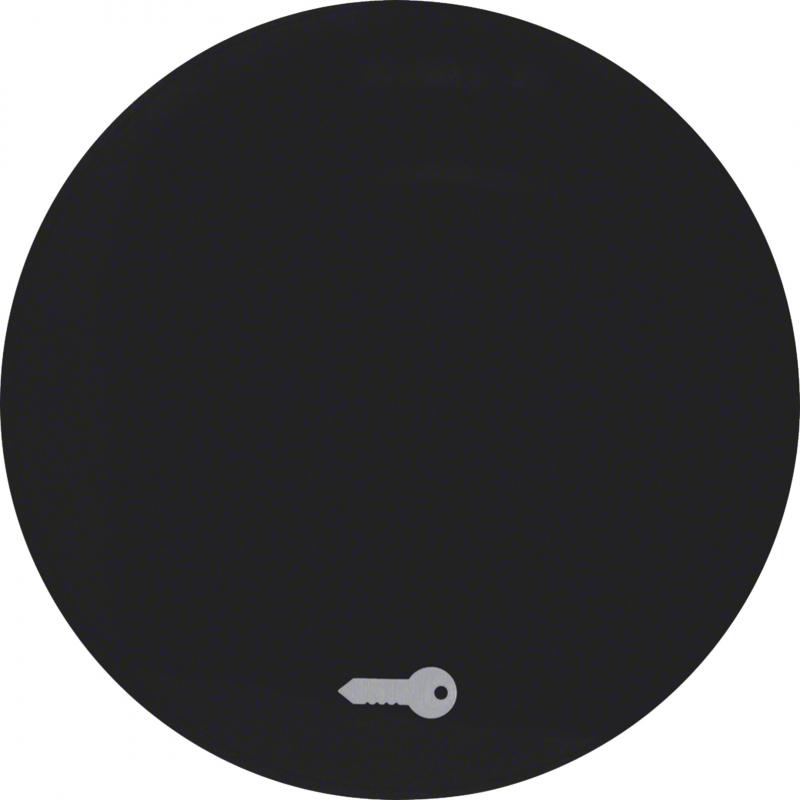 Berker 16202015 Wippe mit Aufdr Symbol Tür R.1/R.3 sw