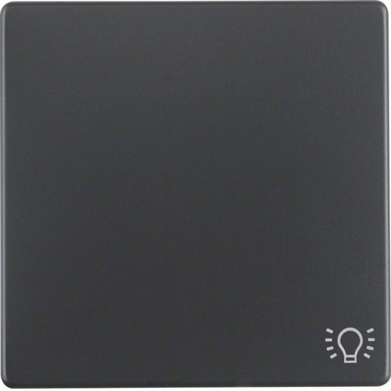 Berker 16206046 Wippe mit Aufdr Symbol Licht Q.x ant