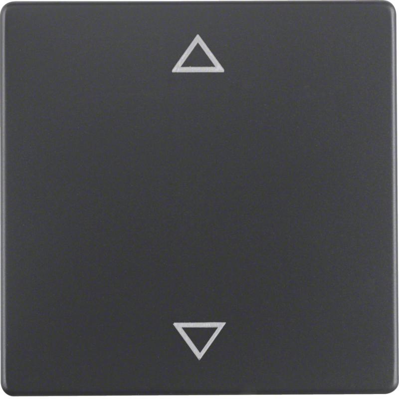 Berker 16206076 Wippe mit Aufdr Symbol Pfeile Q.x ant
