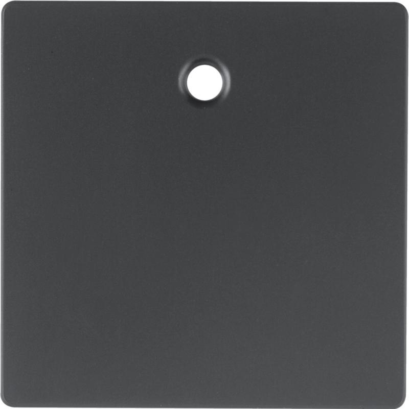 Berker 11466086 Zentralstück f Zugsch/tast Q.x anth
