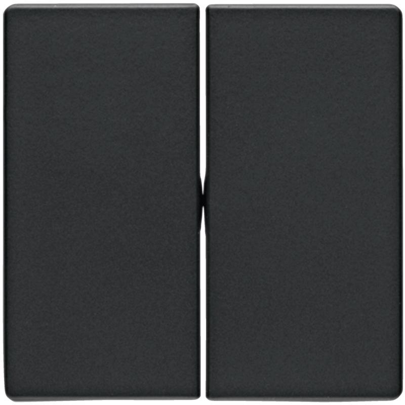 Berker 16236086 Wippe für Wippschalter 2-fach Serie Q.x anthrazit, samt