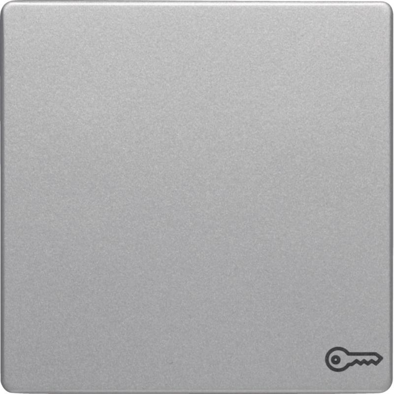 Berker 16206064 Wippe mit Aufdr Symbol Tür Q.x alu