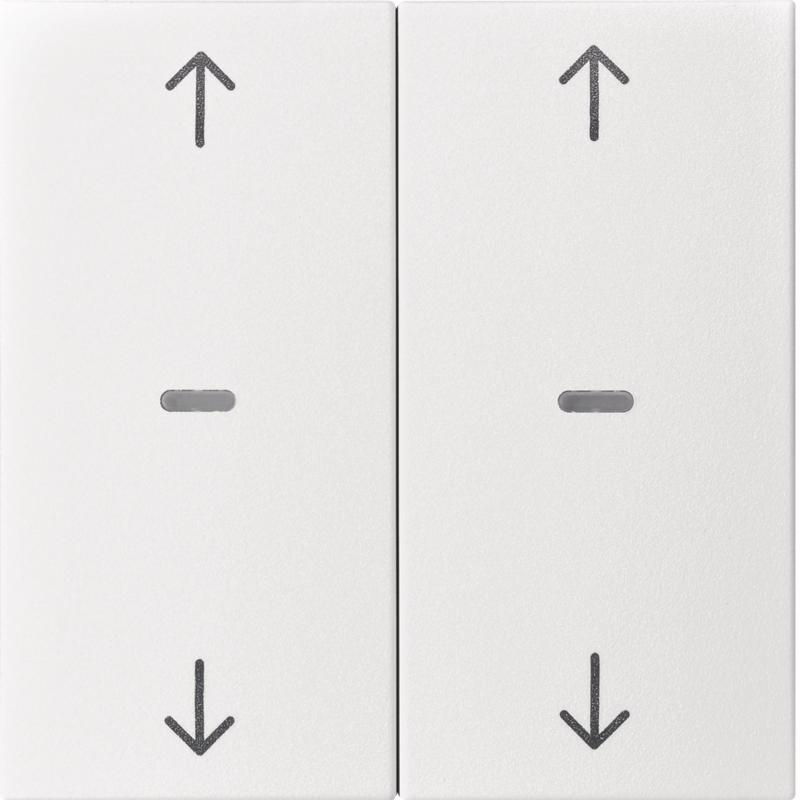 Berker 80961399 Abdeck. Tast.-M. 2f. Pfeil S.1/B.x pw m
