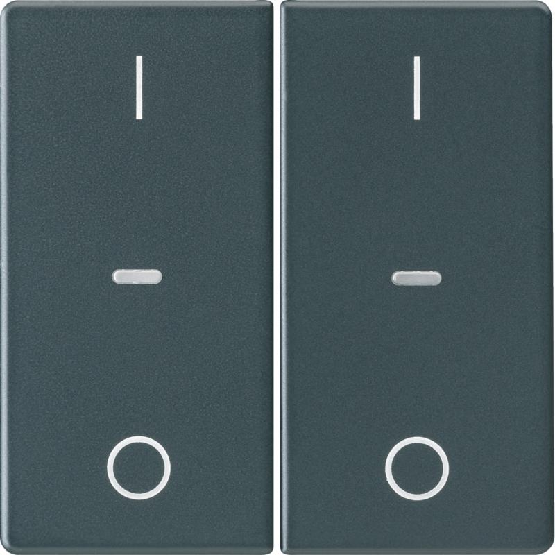 Berker 80962326 Abdeck. Tast.-M. 2f. I/O Q.x anth