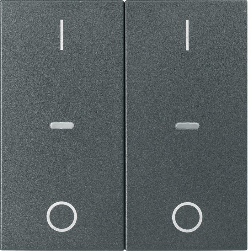 Berker 80962385 Abdeck. Tast.-M. 2f. I/O S.1/B.x anth