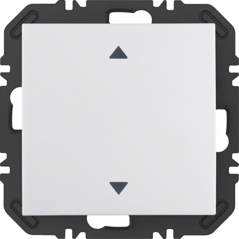 Berker 24118289 EnOcean Modul m Wippe 1f Aufdr S.1 pw gl