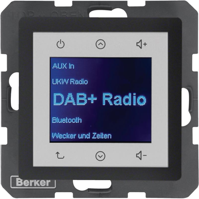 Berker 29846086 Radio DAB+, Q.x anth.
