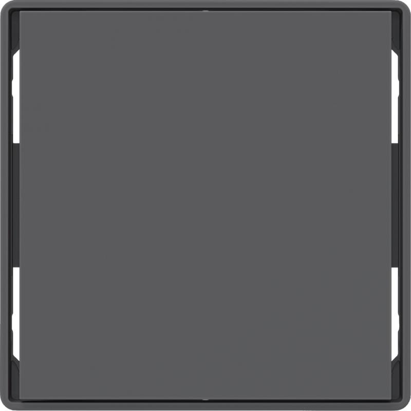 Berker 81181026 Tasten f.Tast.modul,1f,Q.x,ant