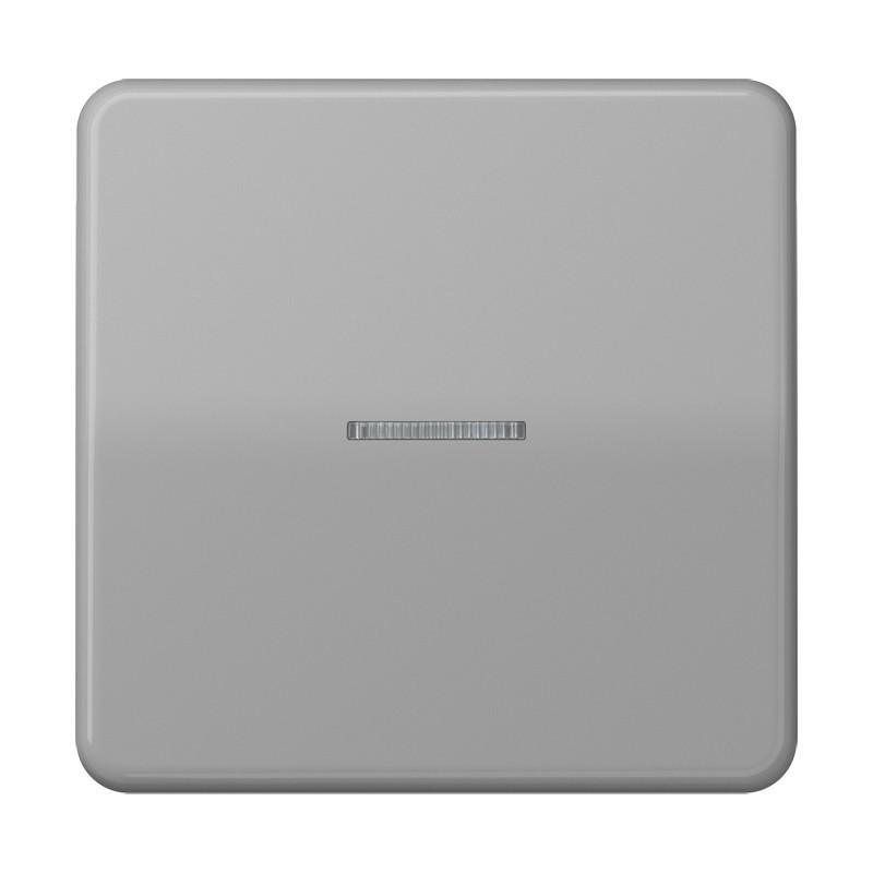 JUNG HOME Taster 1fach mit Lichtleiter, Serie CD, grau, Bluetooth Mesh