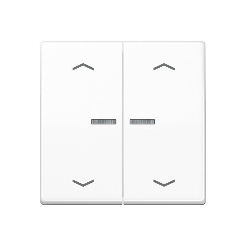 JUNG HOME Taster 2fach, mit Pfeilsymbolen, mit Lichtleiter BT A 17102 P WW, alpinweiß
