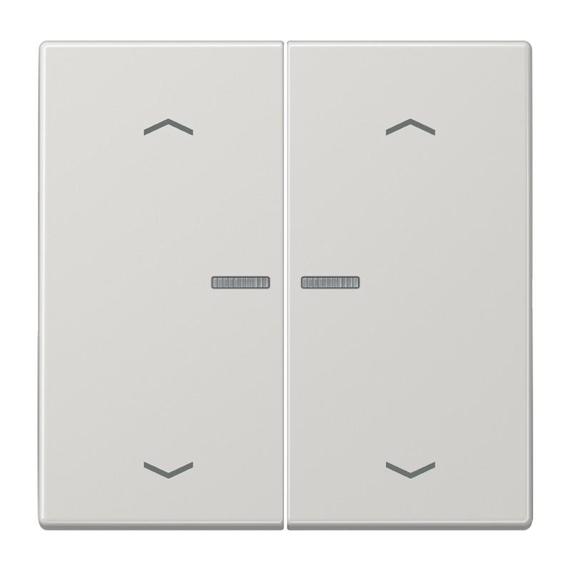 JUNG HOME Taster 2fach mit Pfeilsymbolen und Lichtleiter, Serie LS, lichtgrau, Bluetooth Mesh