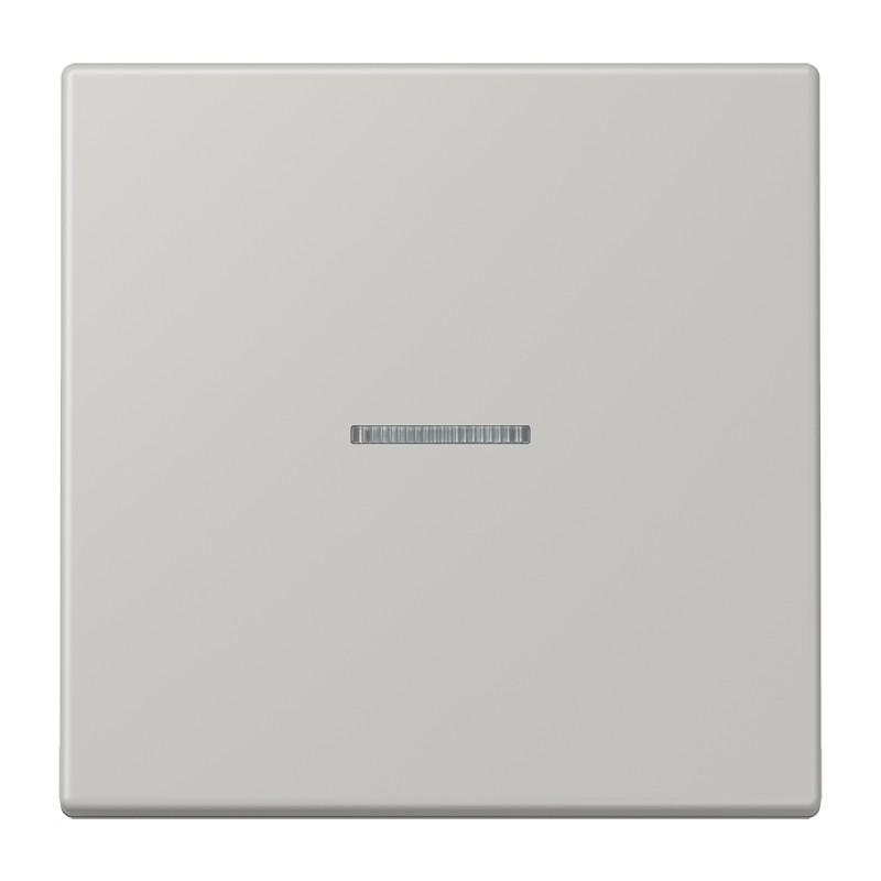 JUNG HOME Taster 1fach mit Lichtleiter, Serie LS, gris clair 31, Bluetooth Mesh