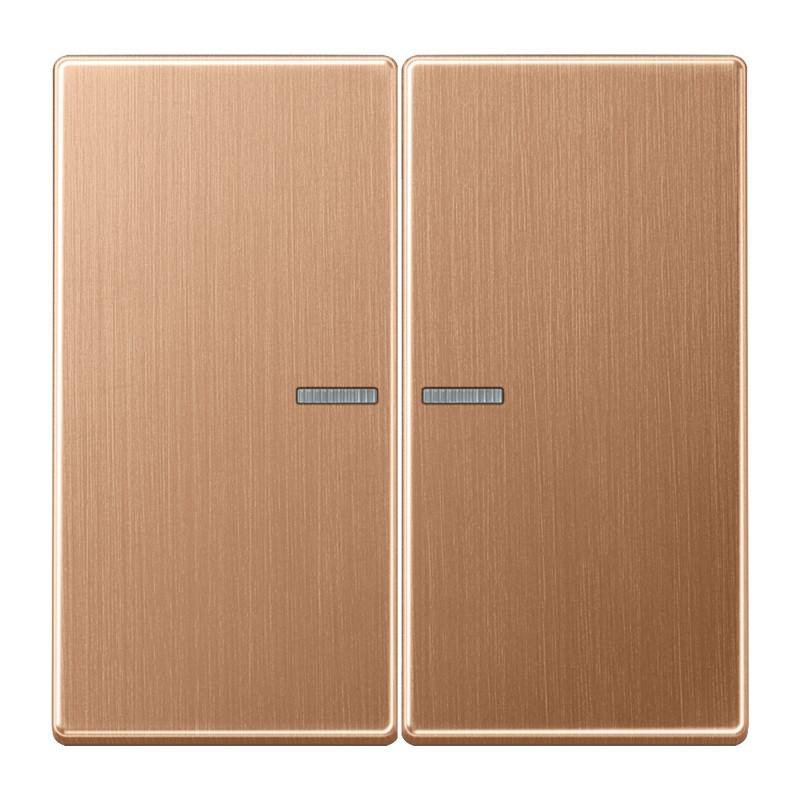 JUNG HOME BT BRG 17102 Taster 2fach, mit Lichtleiter, Serie LS, Bronze gebürstet