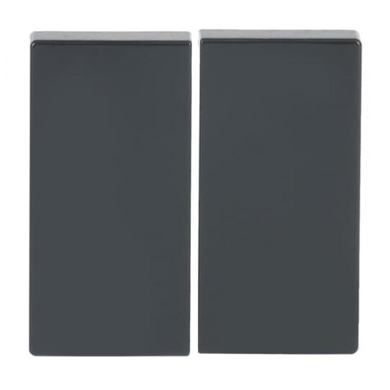 BUSCH-JAEGER 6736 FoH-81 Wippe für Smart Switch 2-fach anthrazit - Plattform 63