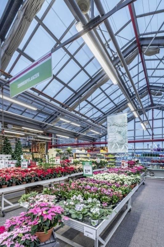 TRILUX LED-Feuchtraum-Anbauleuchte 7125040 IP66 6000 lm 44 W