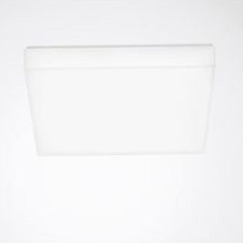 Trilux LED-Wand- und Deckenleuchte Olisq QWD3 3000lm 4000K quadratisch #385881
