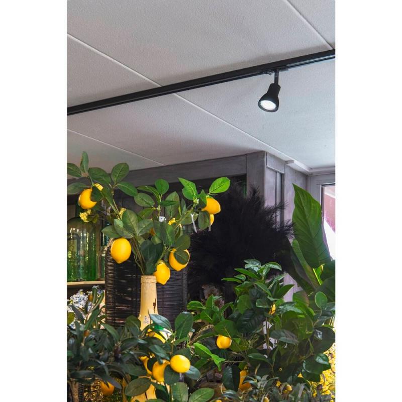 SLV 143450 PURIA Spot, schwarz, GU10, max. 50W, inkl. 1P.-Adapter, mit matt-schwarzem Glas