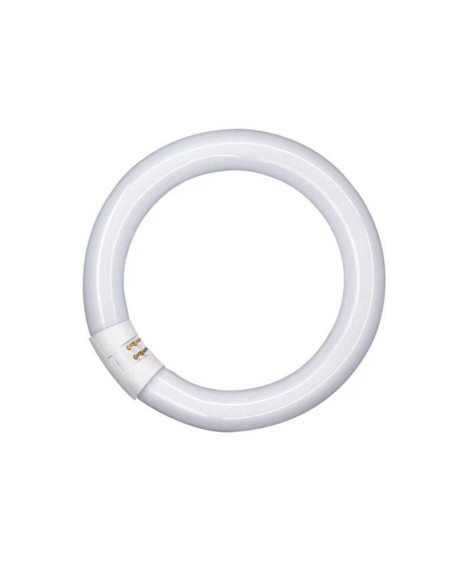 OSRAM G10q LED-Leuchstoff Röhre in Ringform 40W 4000K  EM neutralweißes Licht