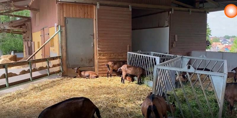 150cm LEDVANCE DampProof Special Gen2 1500 30W 4000K IP67  LED Feuchtraumleuchte - Stallgeeignet