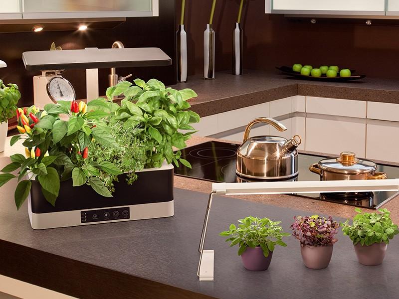 Nur noch angezeigter Bestand verfügbar: LEDVANCE Indoor Garden KIT Pro Pfanzenzuchtstation für Inddor Hobby Gärtner