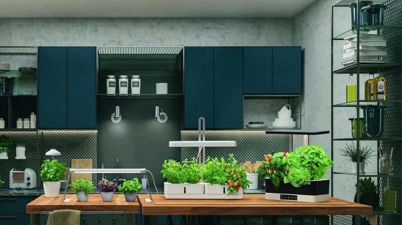 Nur noch angezeigter Bestand verfügbar: LEDVANCE Indoor Garden KIT Pro Pfanzenzuchtstation für Inddor Hobby Gärtner