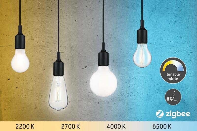 Paulmann 50396 LED Globe Lampe G95 2200-6500K opal dimmbar Tunable White  E27 7W wie 60W