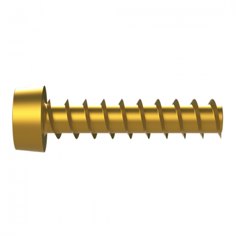 ABB VXXAWNJE Hiloschraube 5x22mm VMS Schraube selbstschneidend VE 50