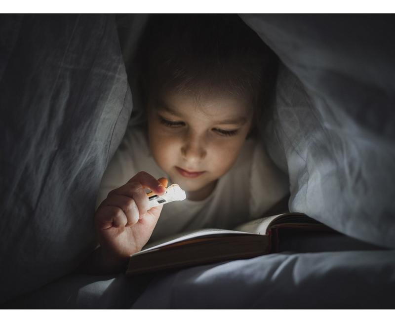 Armytek Zippy ES Mehrzweckleuchte (Grey Onyx) 3 in 1