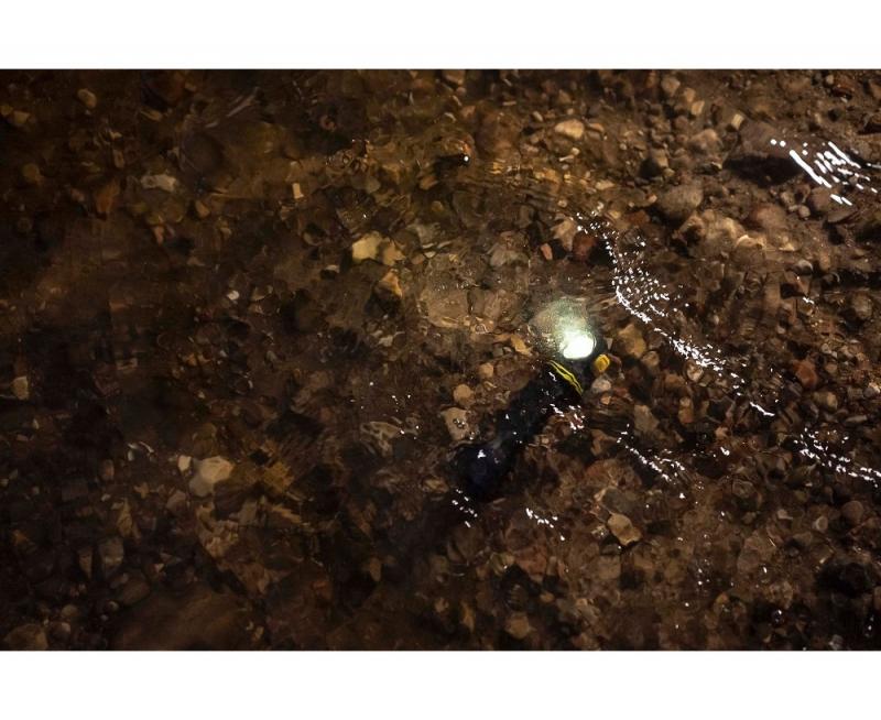 Armytek Elf C2 Max LR Taschen- und Stirnlampe mit Magnethalterung / Stirnhalterung akkubetrieben neutralweißes Licht