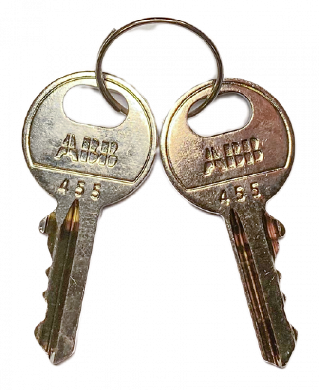 ABB MA1-8165 Ersatzschlüssel mit Schlüssel-, code 455 Kunststoff Reihe, 1 Set=2 Stück