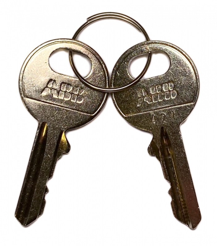 ABB MA1-8166 Ersatzschlüssel mit Schlüssel-, code 421 Kunststoff Reihe, 1 Set=2 Stück