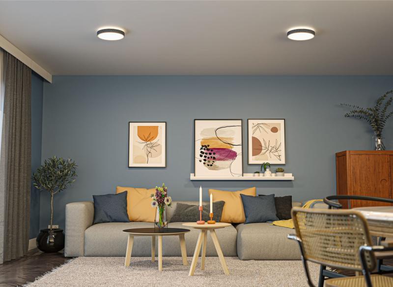 Paulmann 71053 LED Panel Cosara IP44 rund 300mm 15W 1300lm 3000K Dunkelgrau