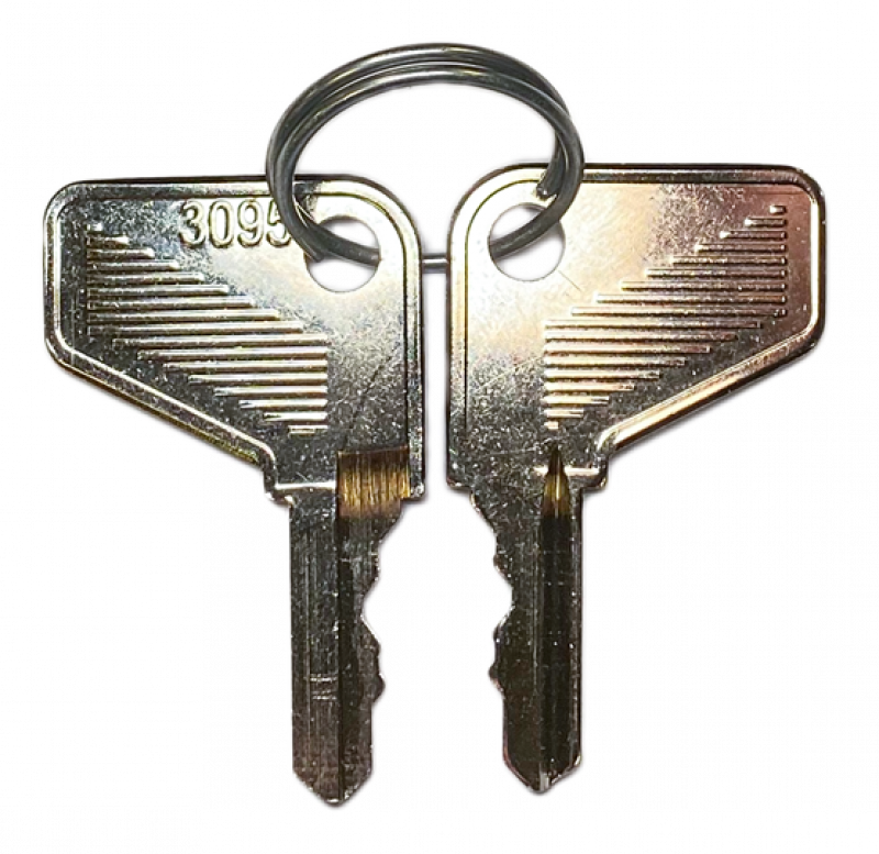 ABB P9ACC95 Ersatzschlüssel mit Schlüssel-, code 95, Metall Reihe, 1 Set=2 Stück