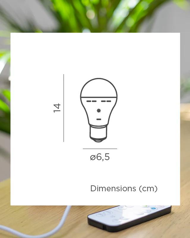 New Garden Tragbare wiederaufladbare E27 Glühbirne LAPERA mit Akku, USB-Ladung und Fernbedienung IP20 für Innen, warm- bis kaltweiß einstellbar