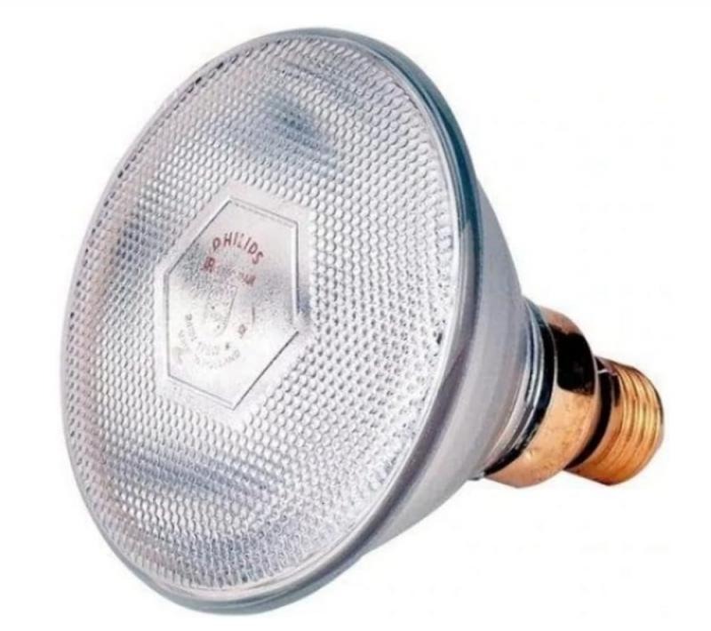 PHILIPS PAR38 Infrarot-Wärmelampe 175W E27 240V – klares Hartglas dimmbar