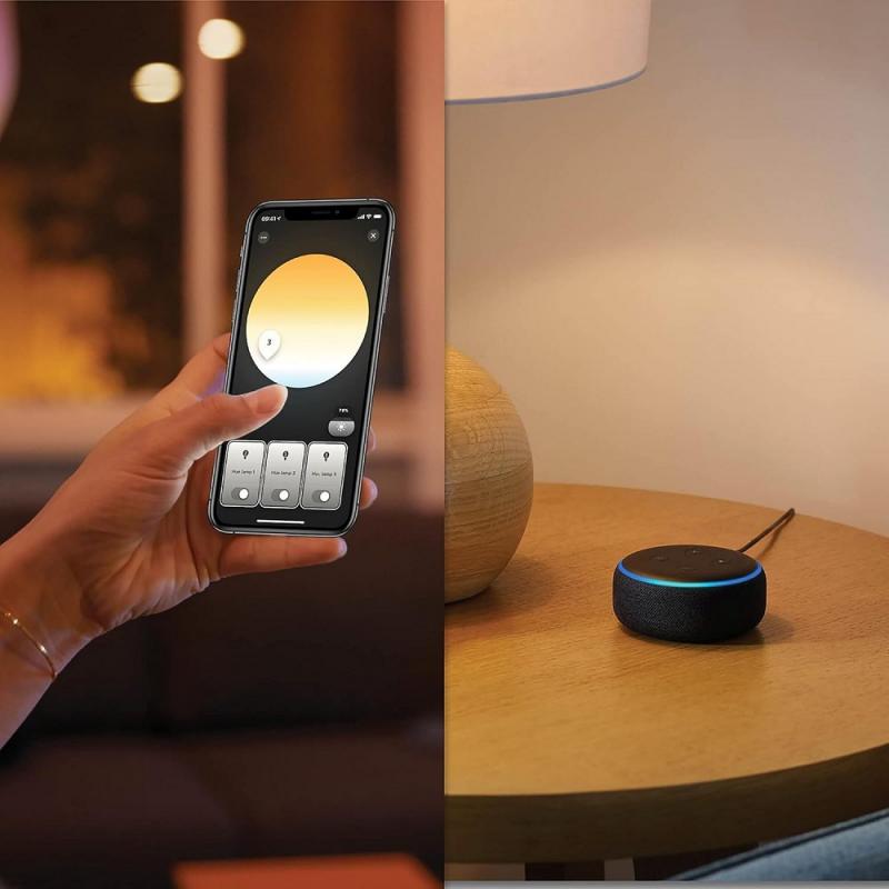 Philips Hue Enrave Deckenleuchte inkl. Dimmschalter Schwarz 26,1cm