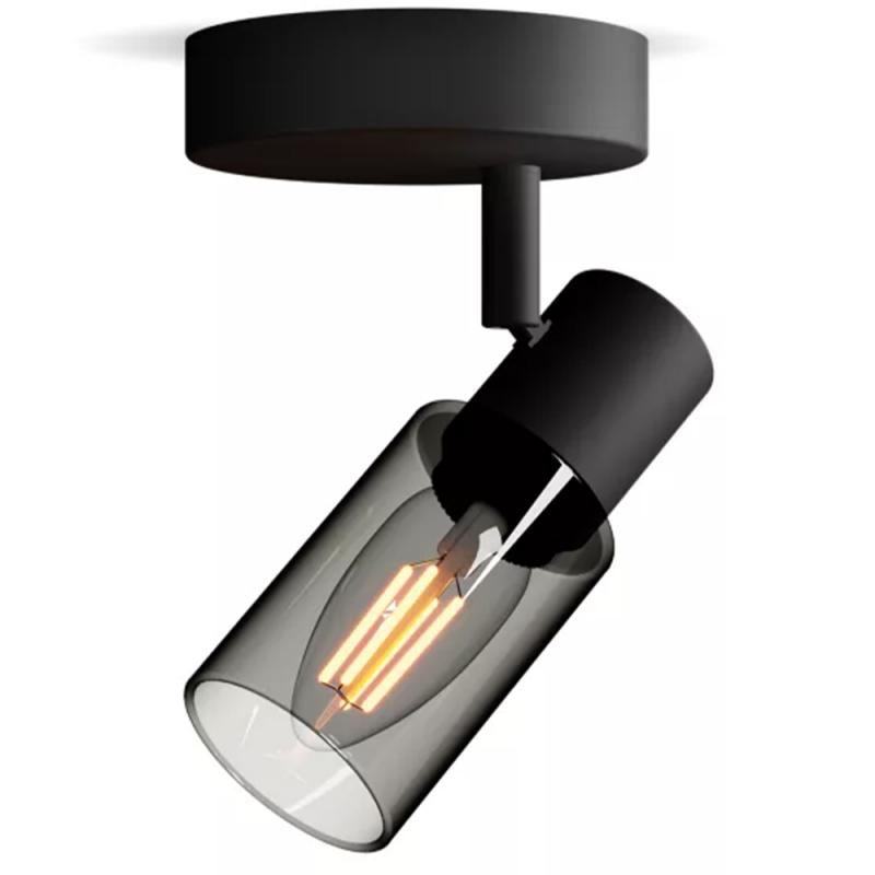 Philips 1er Palms Decken-/Wandspot in Schwarz IP20 - E14 Fassung - aus Glas und Metall