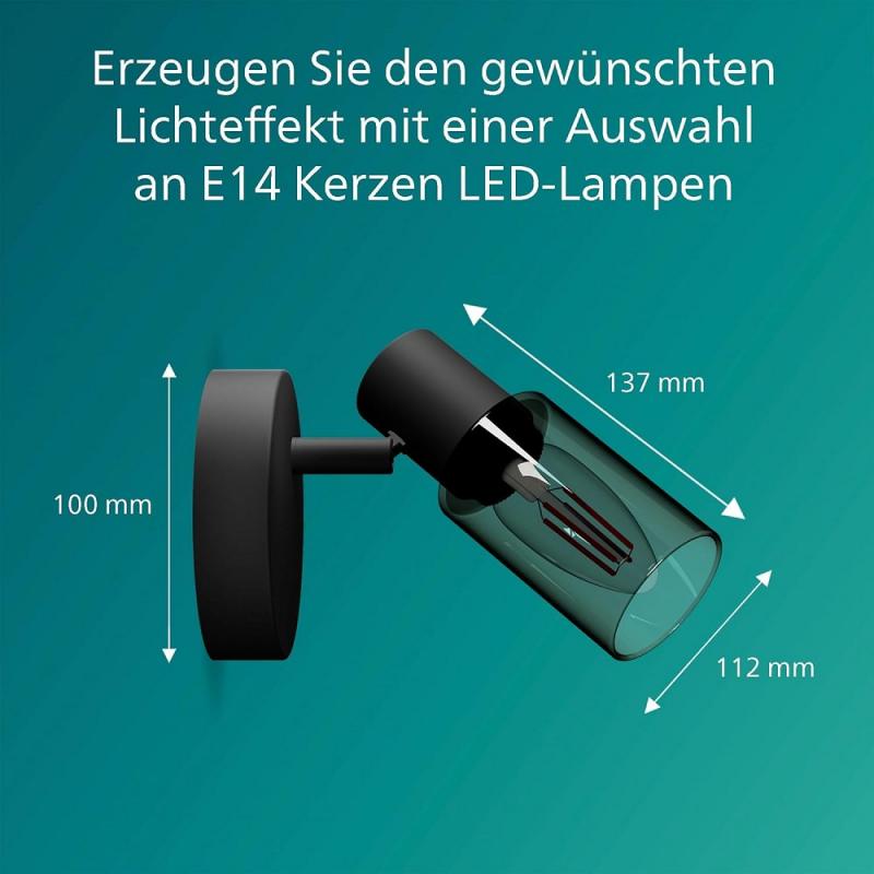 Philips 1er Palms Decken-/Wandspot in Schwarz IP20 - E14 Fassung - aus Glas und Metall