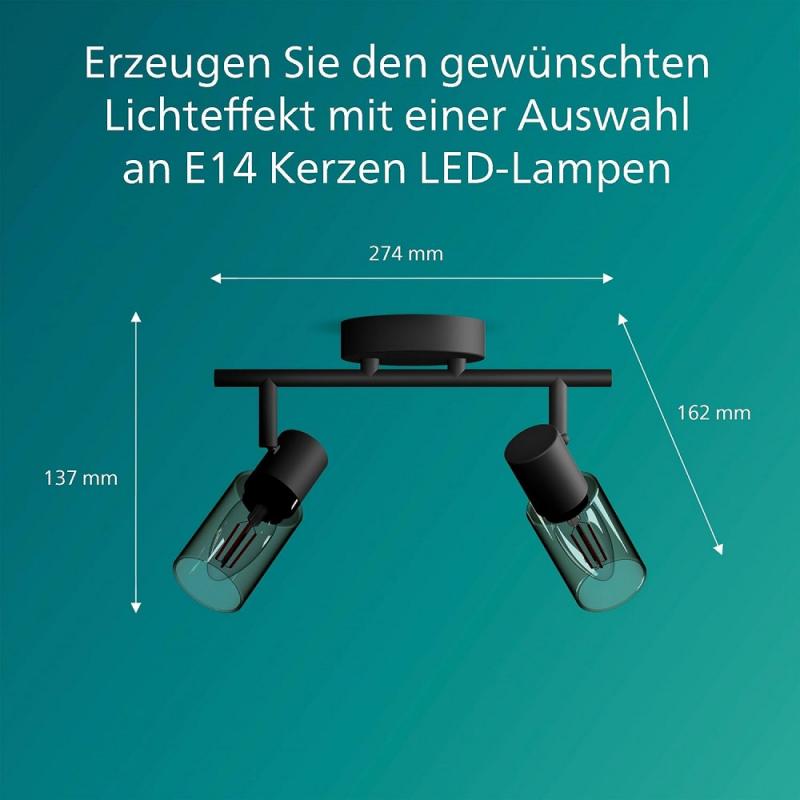 Philips 2er Palms Decken-/Wandspot in Schwarz IP20 - E14 Fassung - aus Glas und Metall