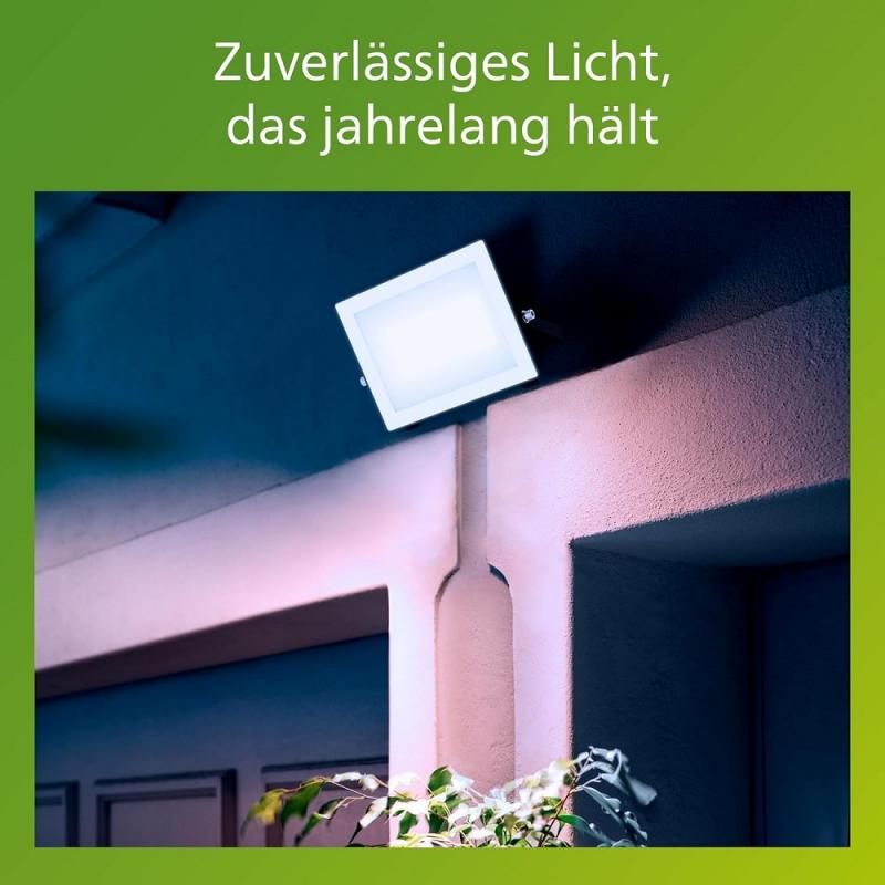 Philips Lois Flutlichtstrahler für den Außenbereich - 50 Watt, 5000K Tageslicht, Schwarz