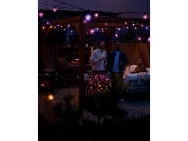 Philips  Hue Festavia Globe Outdoor Lichterkette, 7 m , Basis-Set