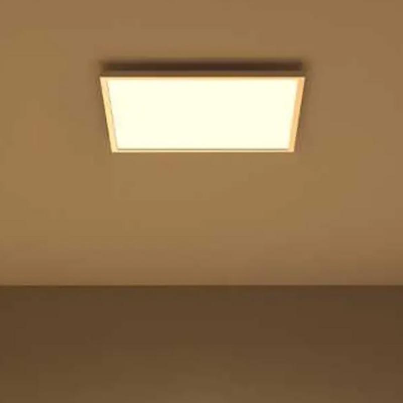 Philips Hue Surimu Quadratisches LED-Panel 60 x 60cm - RGBW multicolor